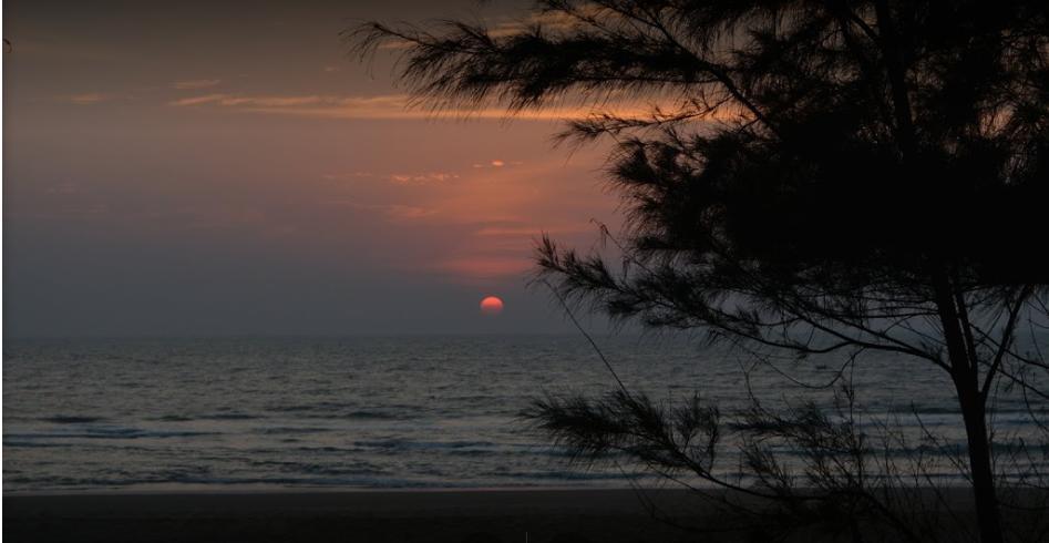 Campcee By Gokarna Adventure Hotel Exterior photo